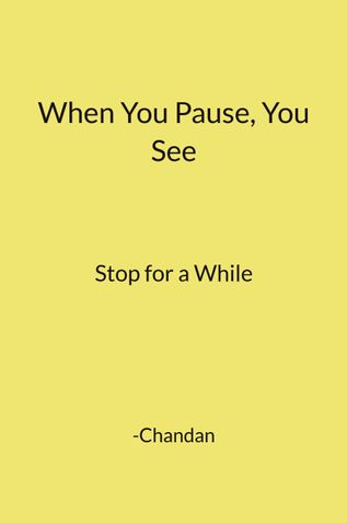 When You Pause, You See