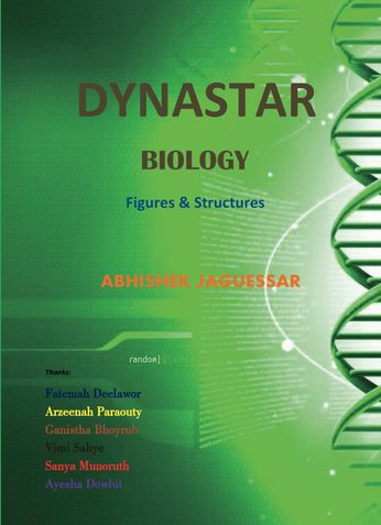 Dynastar Biology Figures and Structures