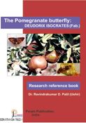 The Pomegranate Butterfly: Deudorix isocrates (feb.)