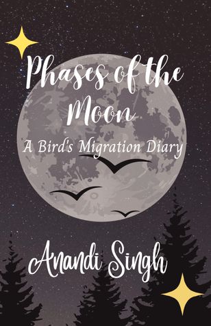 Phases of the Moon