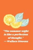 "The summer night is like a perfection of thought."  dot grid journal / notebook