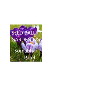Seed Ball Gardening