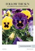 JUNE ISSUE OF FOLLOW THE SUN E-MAGAZINE