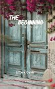 THE BEGINNING I NEVER GOT
