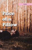 Price of a Pillow