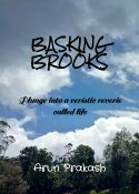 Basking Brooks