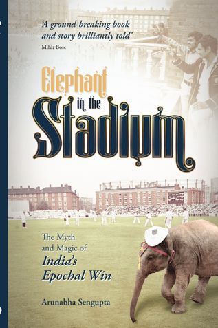 Elephant in the Stadium (Ind-Ed)