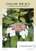 FOLLOW THE SUN (AUGUST 2025 ISSUE)