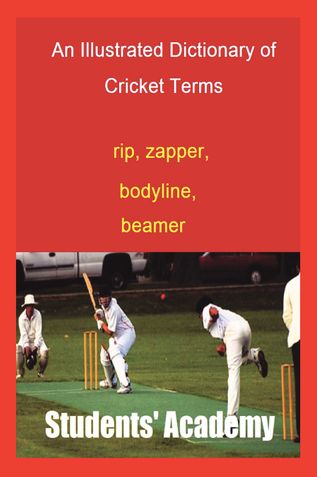 An Illustrated Dictionary of Cricket Terms