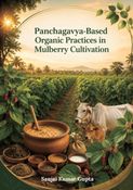 Panchagavya-Based Organic Practices in Mulberry Cultivation
