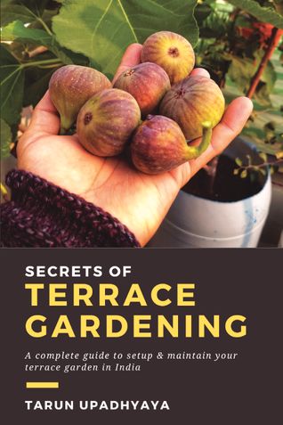 Secrets of Terrace Gardening