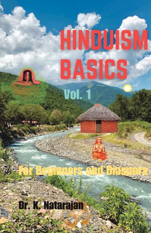 HINDUISM BASICS: For Beginners and Diaspora: Vol. 1