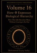 How Φ Expresses Biological Hierarchy