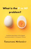What is the P vs NP problem?