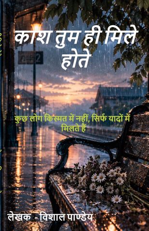 काश तुम ही मिले होते