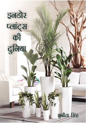 Indoor Plants Ki Duniyan