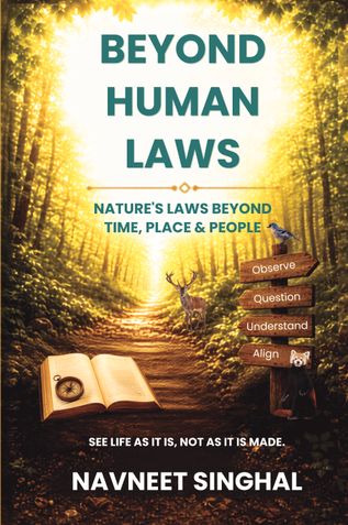 Beyond Human Laws