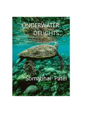 Underwater Delights