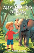Adventures of Sam