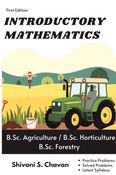 Introductory Mathematics