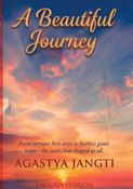 A Beautiful Journey