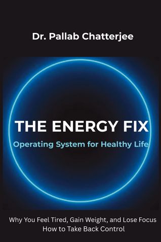 the energy fix