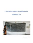 Curriculum Pedagogy and assignments at elementary level