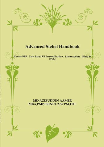 Advanced  Siebel Guide