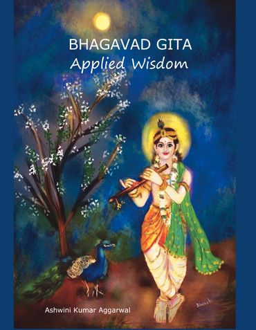 Bhagavad Gita Applied Wisdom