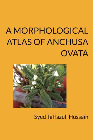 A MORPHOLOGICAL ATLAS OF ANCHUSA OVATA