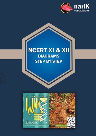 NCERT XI & XII Biology diagrams step by step