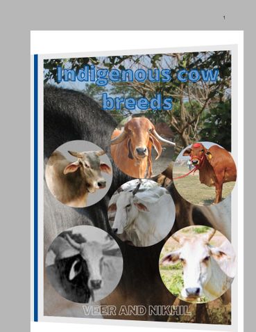Indigenous cow breeds