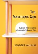 The Penultimate Goal
