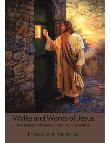 Walks and Words of Jesus
