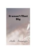 It Wasn't That Big