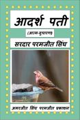 आदर्श पती