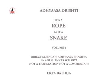 It's a Rope Not a Snake: Adhyaasa Drishti: Volume 1