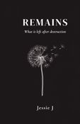 Remains: What left after destruction
