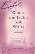 Where the Echo Still Waits : Poems from the Space Between Sight and Silence