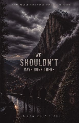 We Shouldn't Have Gone There
