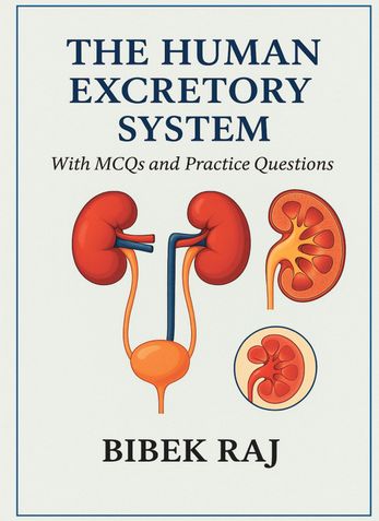 The Human Excretory system