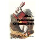 Alice in Wonderland Colouring Book