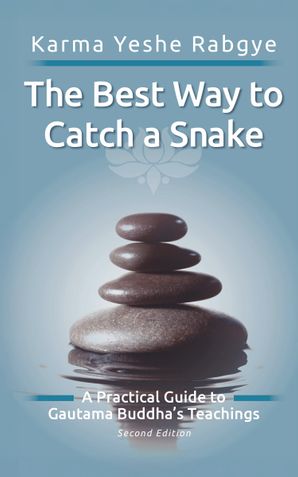 The Best Way to Catch a Snake