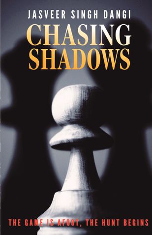 Chasing Shadows: A Novel