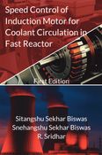Speed Control of Induction Motor for Coolant Circulation in Fast Reactor
