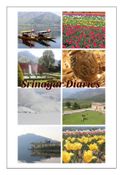 Srinagar Diaries