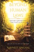 Beyond Human Laws