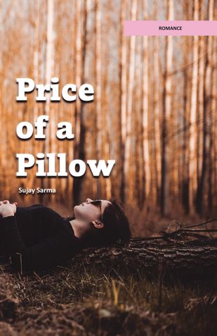 Price of a Pillow