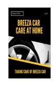 Breeza Car Care at Home