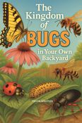 The Kingdom of Bugs in Your Own Backyard